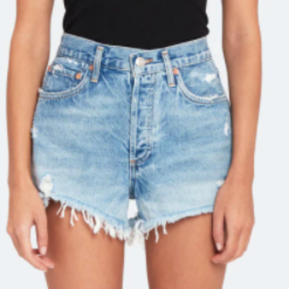 Agolde Parker Shorts